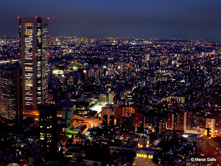 TOKIO DESDE LAS ALTURAS.