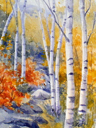 birch trees tree fall fine mountain trail birches watercolor paintings mountains landscapes landscape oil zeh janet along larger