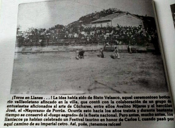 toros en Llanes