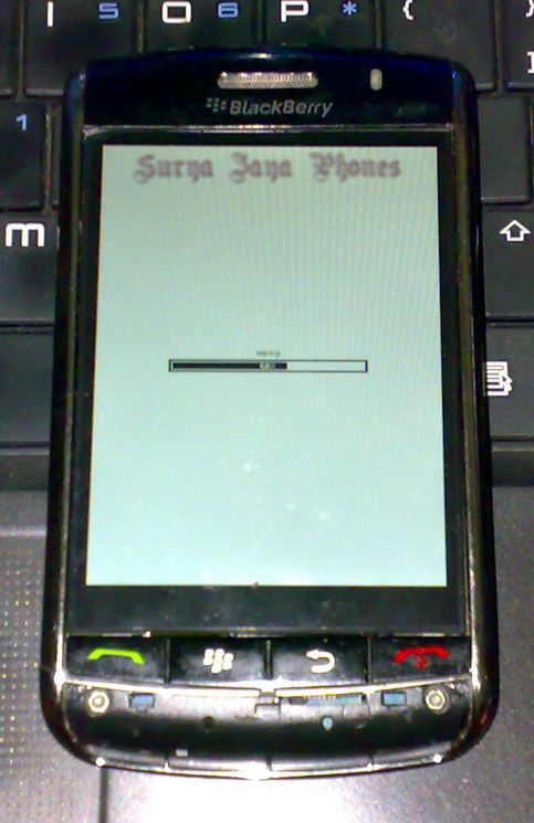 Blackberry 507 software