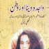 Wajida Veena Aur Watan Novel By Inayatullah Pdf