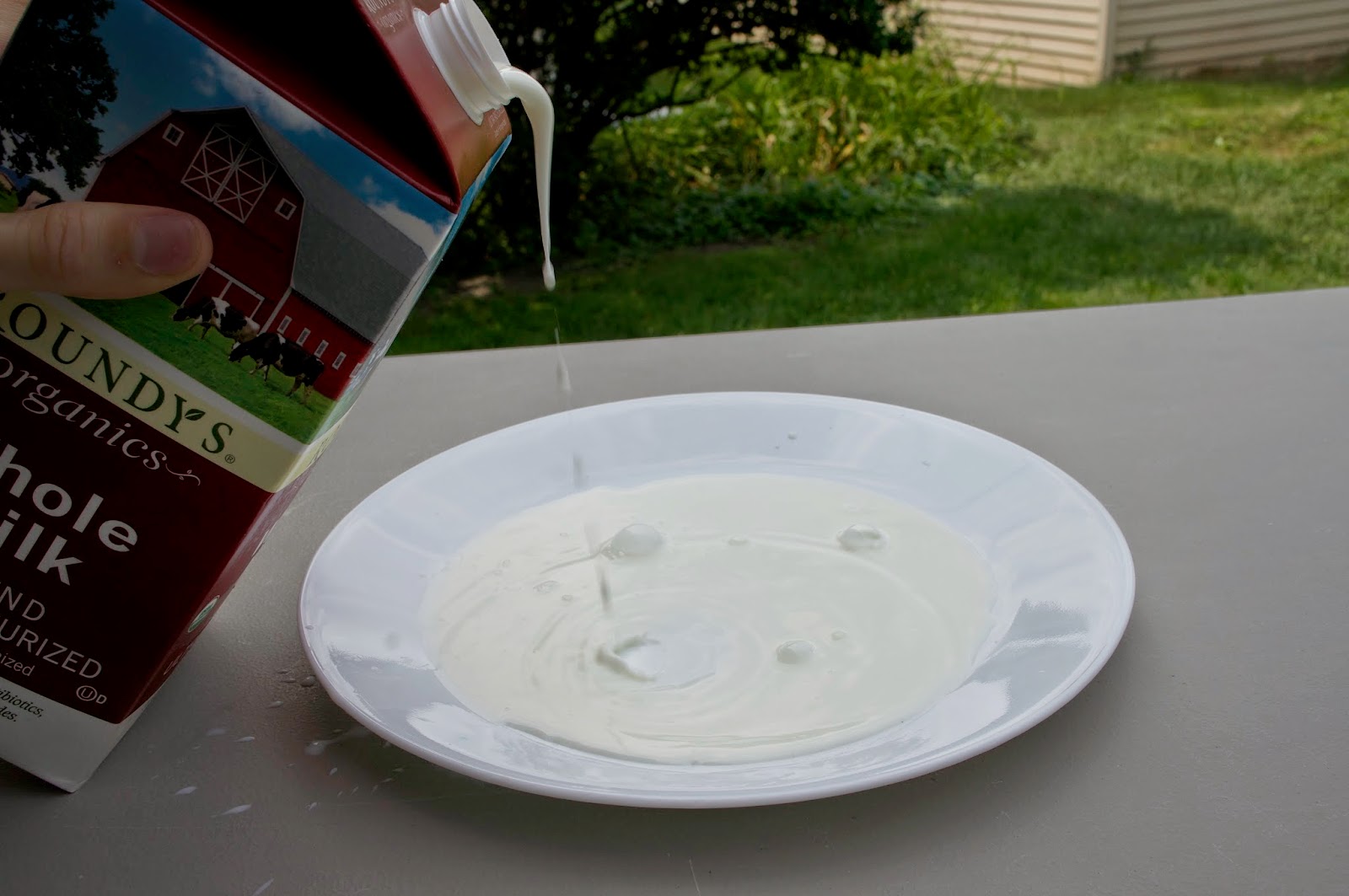 Milk + Soap + Food Coloring = Awesome Reaction The Best Hobbies Blog