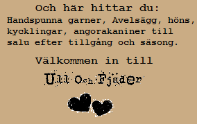 Min andra blogg