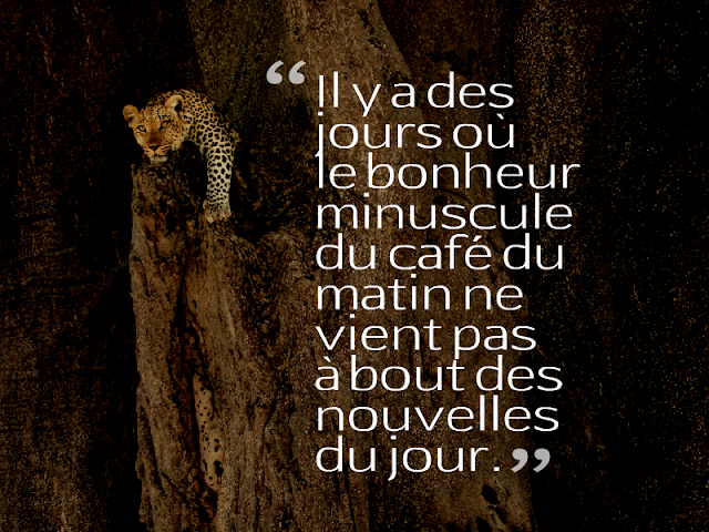 citation bonheur