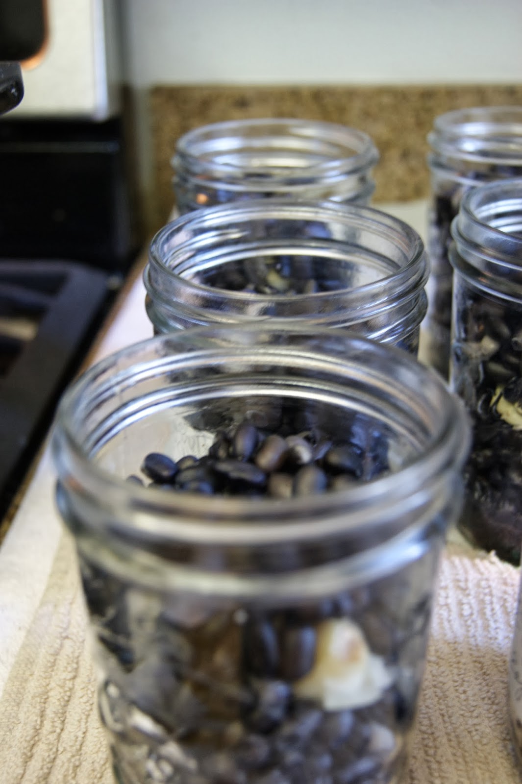 Canarella Pressure Canning Black Beans