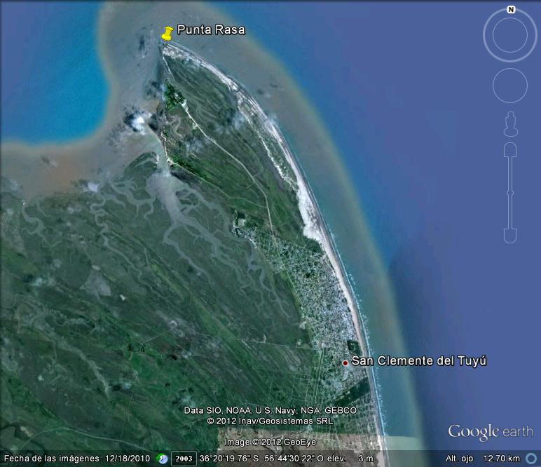 Aves Bonaerenses: Punta Rasa