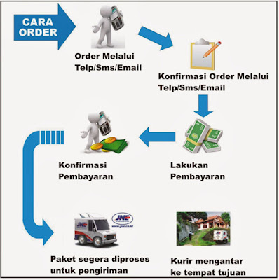  Cara Pengiriman Obat Rematik dan Asam Urat