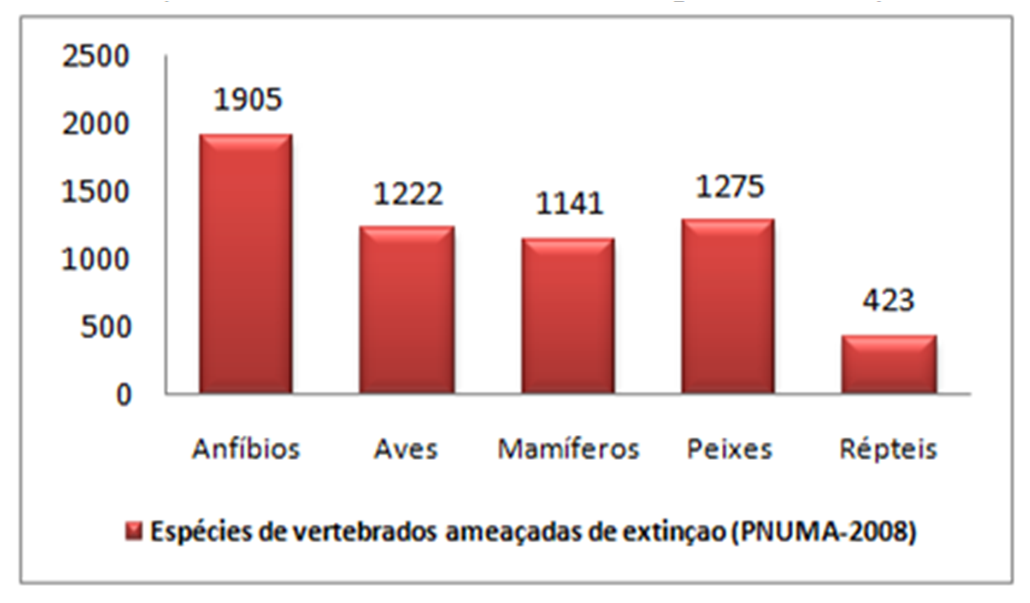 Analise O Grafico E Responda As Questões