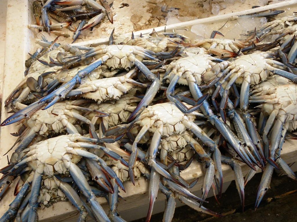 Travels Ballroom Dancing Amusement Parks Dubai Deira Enormous