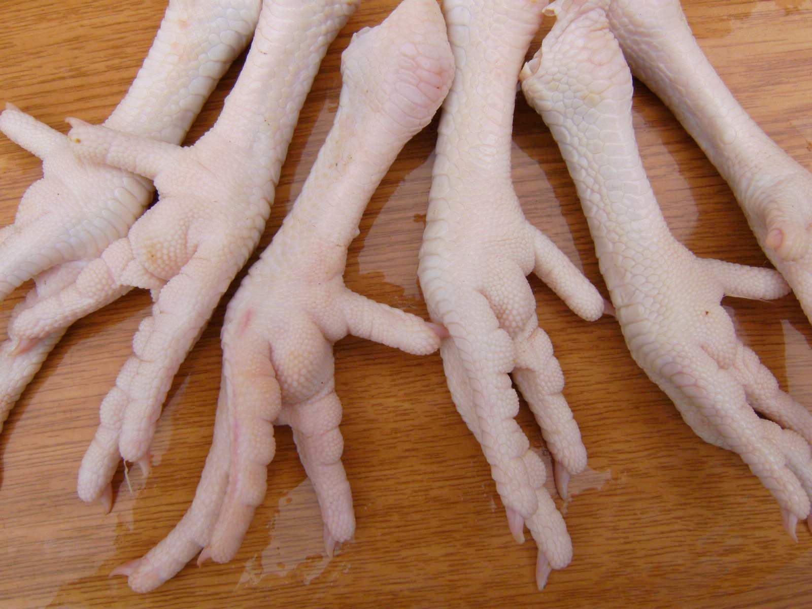 CHENHUI COMPANY:::..: Processed Frozen Chicken Feet