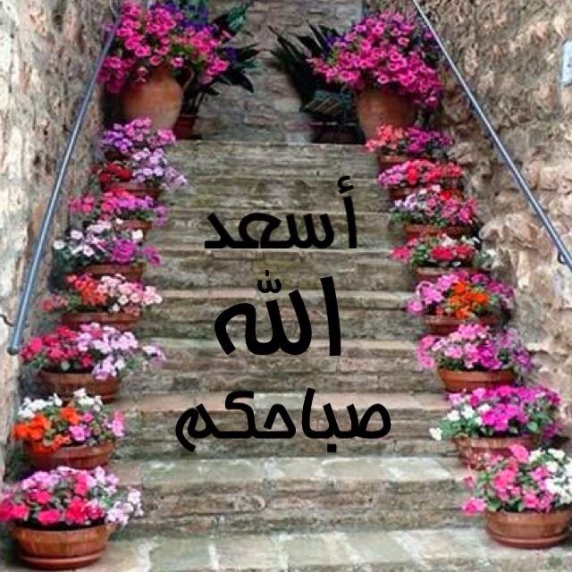 أحلى صور للصباح جديدة 2015 Good Morning صباح الخير