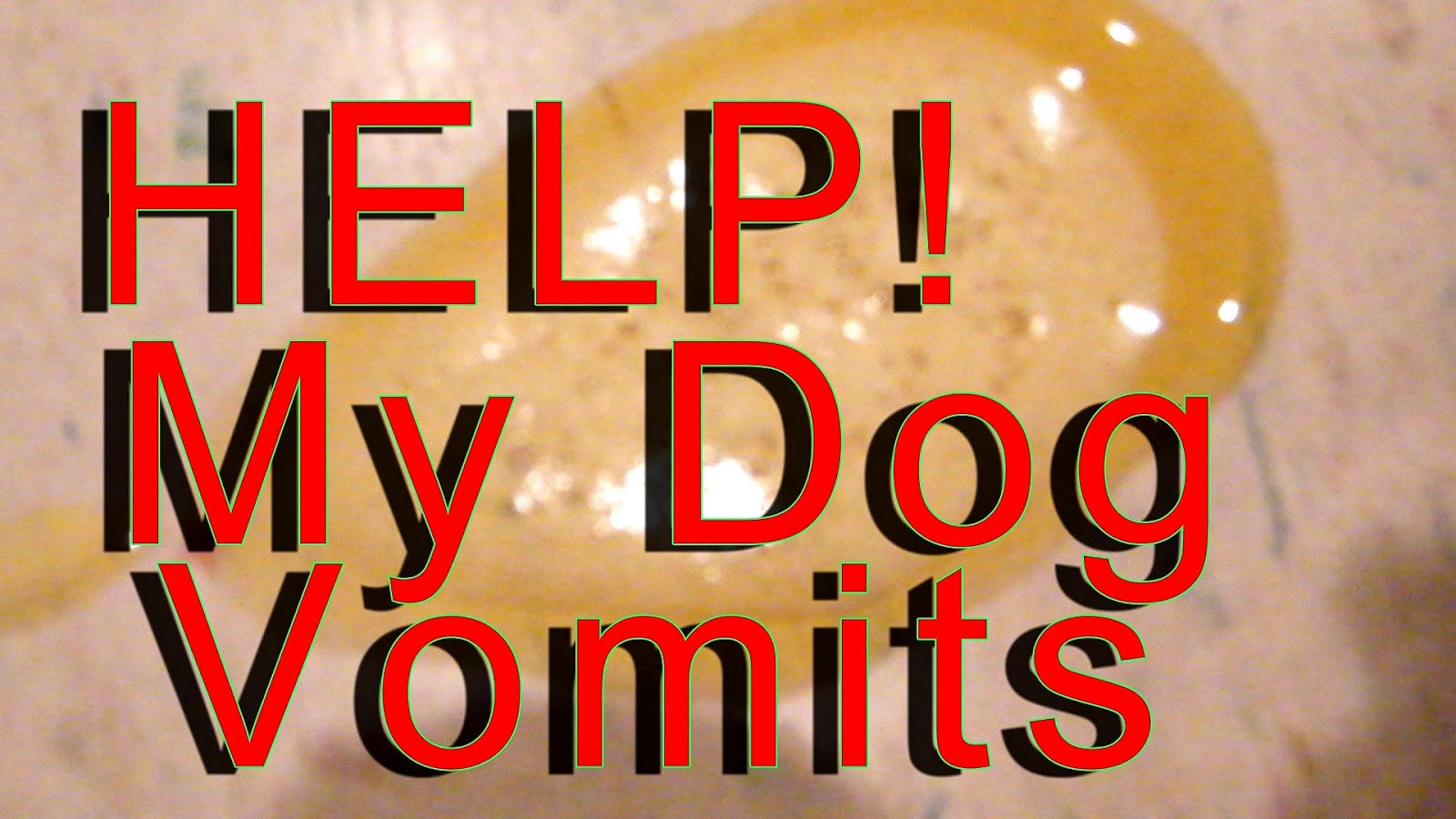 What Is The Yellow Stuff You Throw Up When Pregnant Yellow Choices