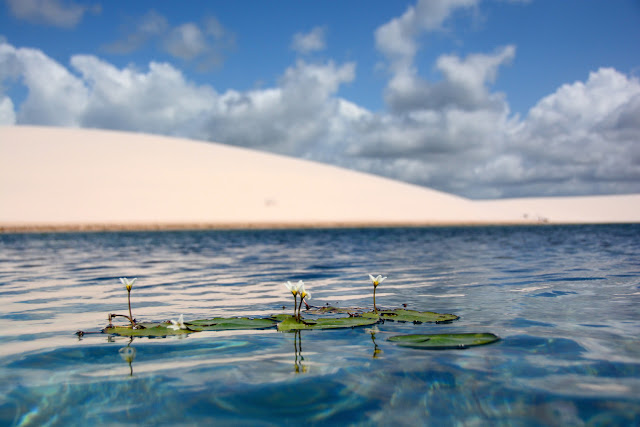 Stunning Lençóis Maranhenses Photo Take