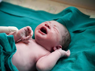 10 Fakta Unik yang Jarang Diketahui Seputar Bayi Baru Lahir