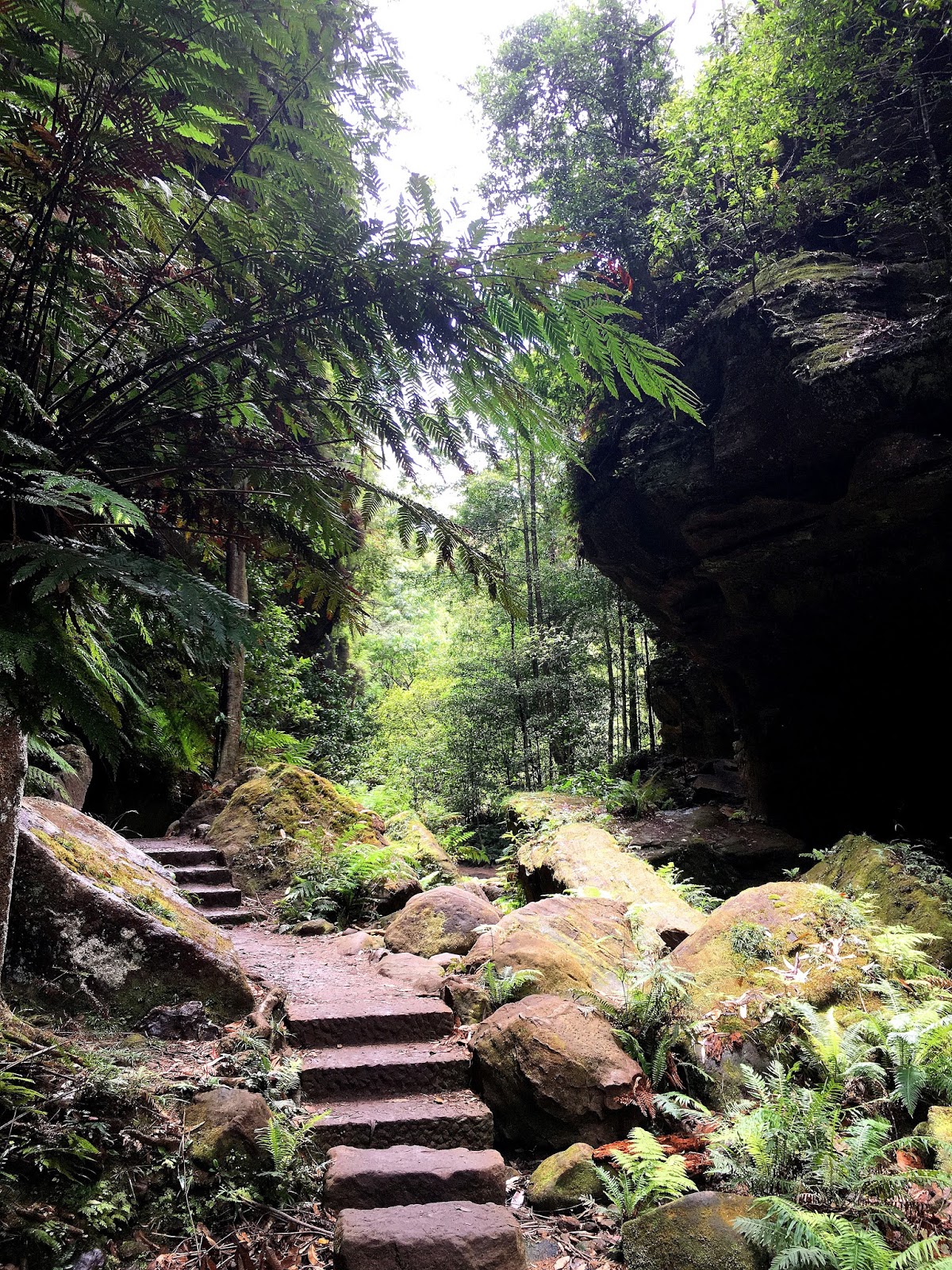 Hiking solo the Grand Canyon in Australia's Blue Mountains has been one of the greatest adventures. With breathtaking views and endless stairs, come and find out more!