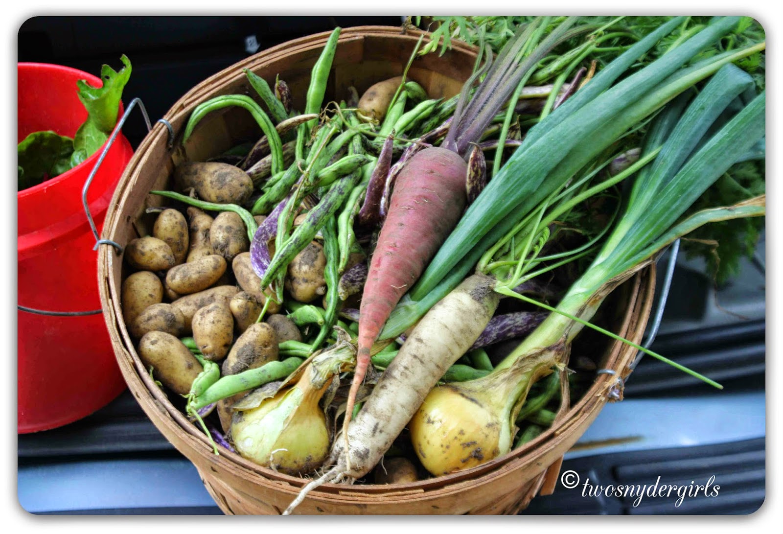 Basket of Vegetables