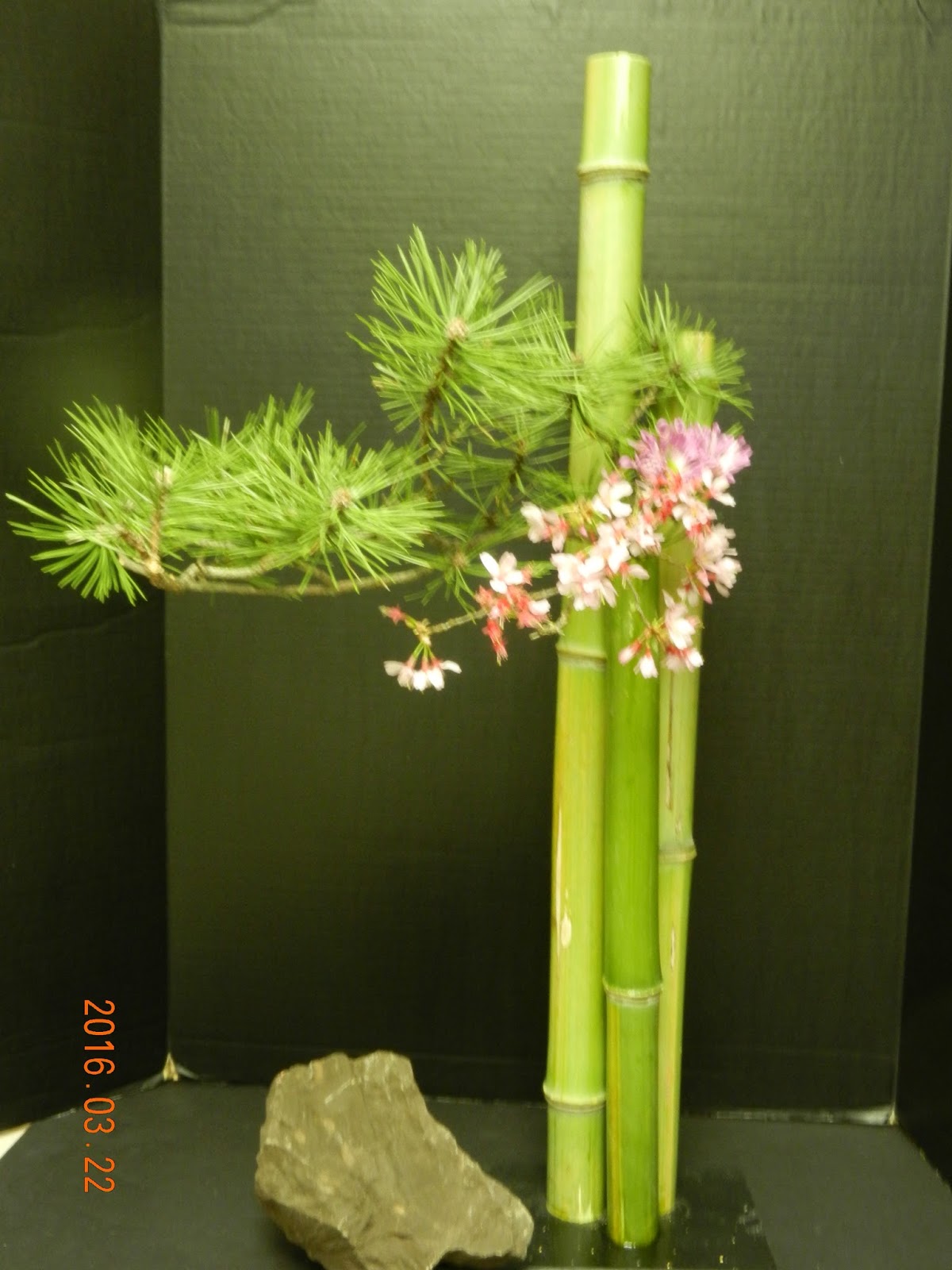 Orchids and Ikebana Spring is in The Air