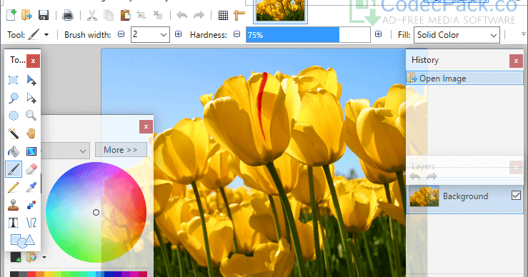 تحميل برنامج للكتابة على الصور 2020 مجانى Download Paint.NET 4 