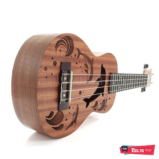 đàn ukulele concert music ukulele music dolphin