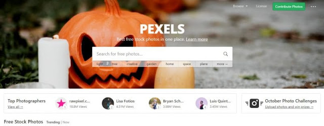 Pexels 10 Situs Web Penyedia Gambar Gratis Terbaik Berkualitas Tinggi