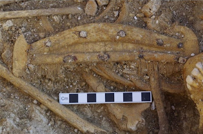 Saxon cemetery discovered at Bulford, Wiltshire Saxon cemetery discovered at Bulford, Wiltshire