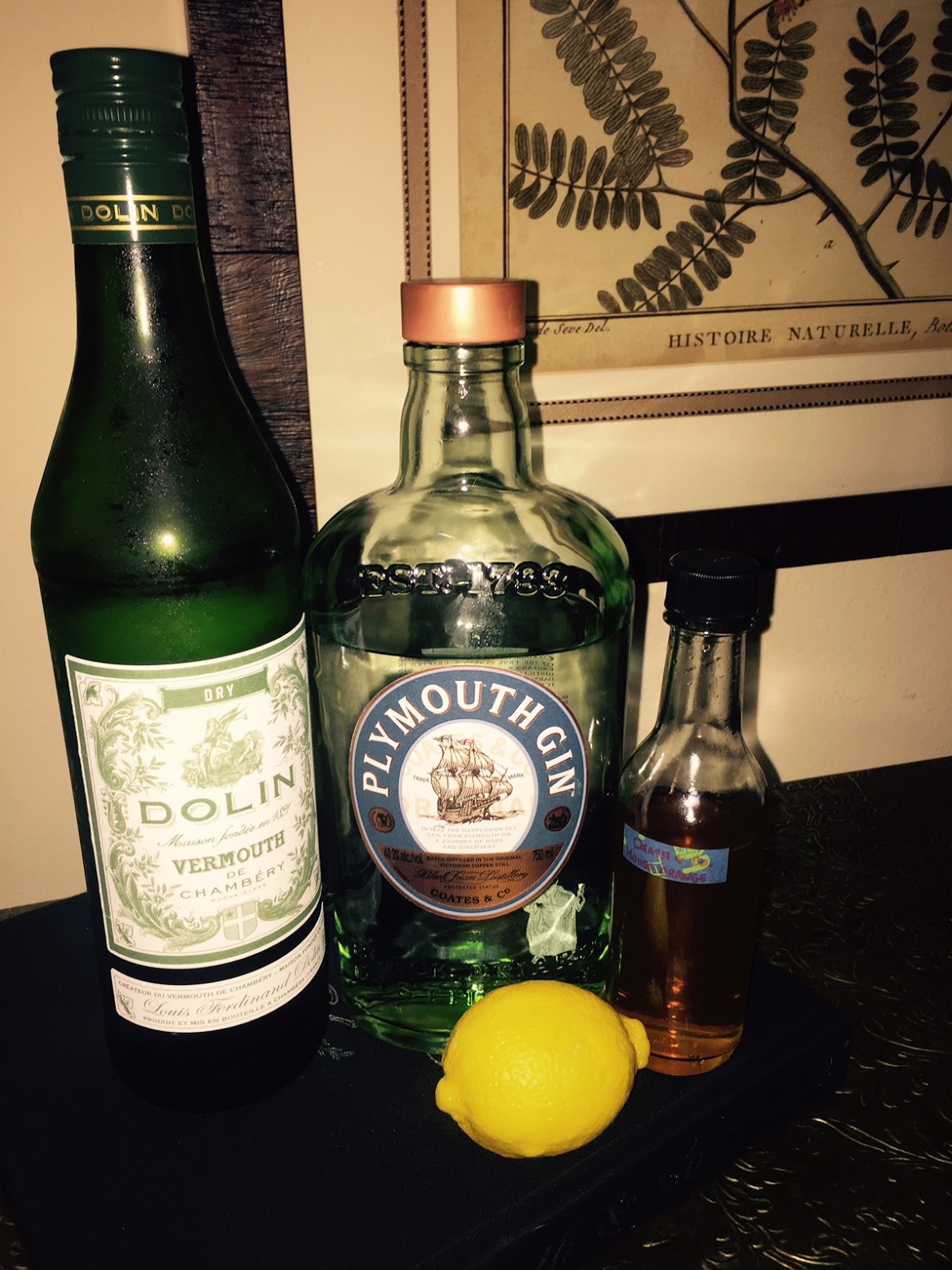 Drinking the Death & Co. Book Martini