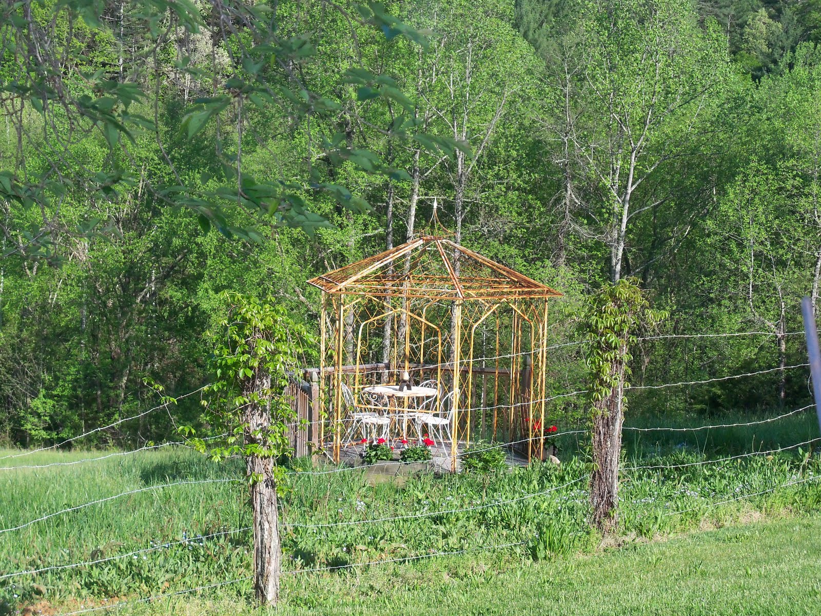 Girl Turns 40 Farm Dinner Millstone Meadows Farm