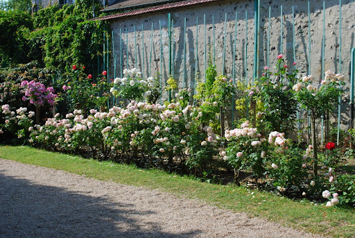 Rose Garden Home Ideas, Rose Garden Landscaping Ideas