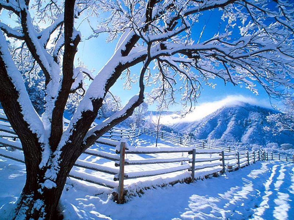 Winter HD Wallpaper For IPhone HD Wallpapers