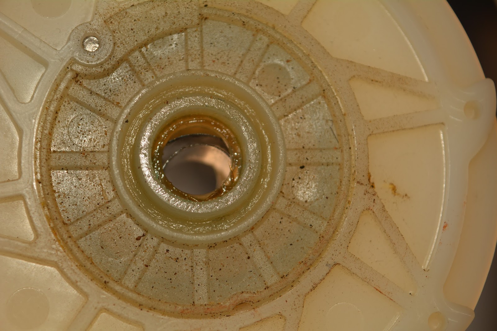 The Dog Geek What's Inside a Flexi Leash?