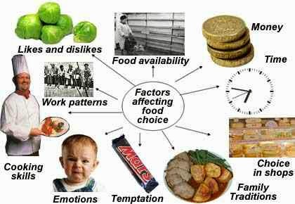 Understanding the Impact of Nutrition Characteristics of a Healthy