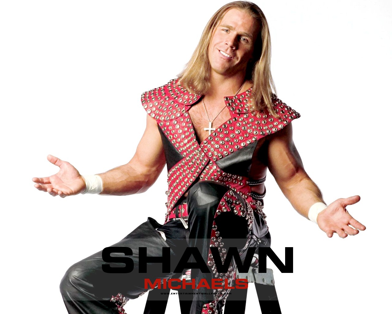 Shawn Michaels Net Worth