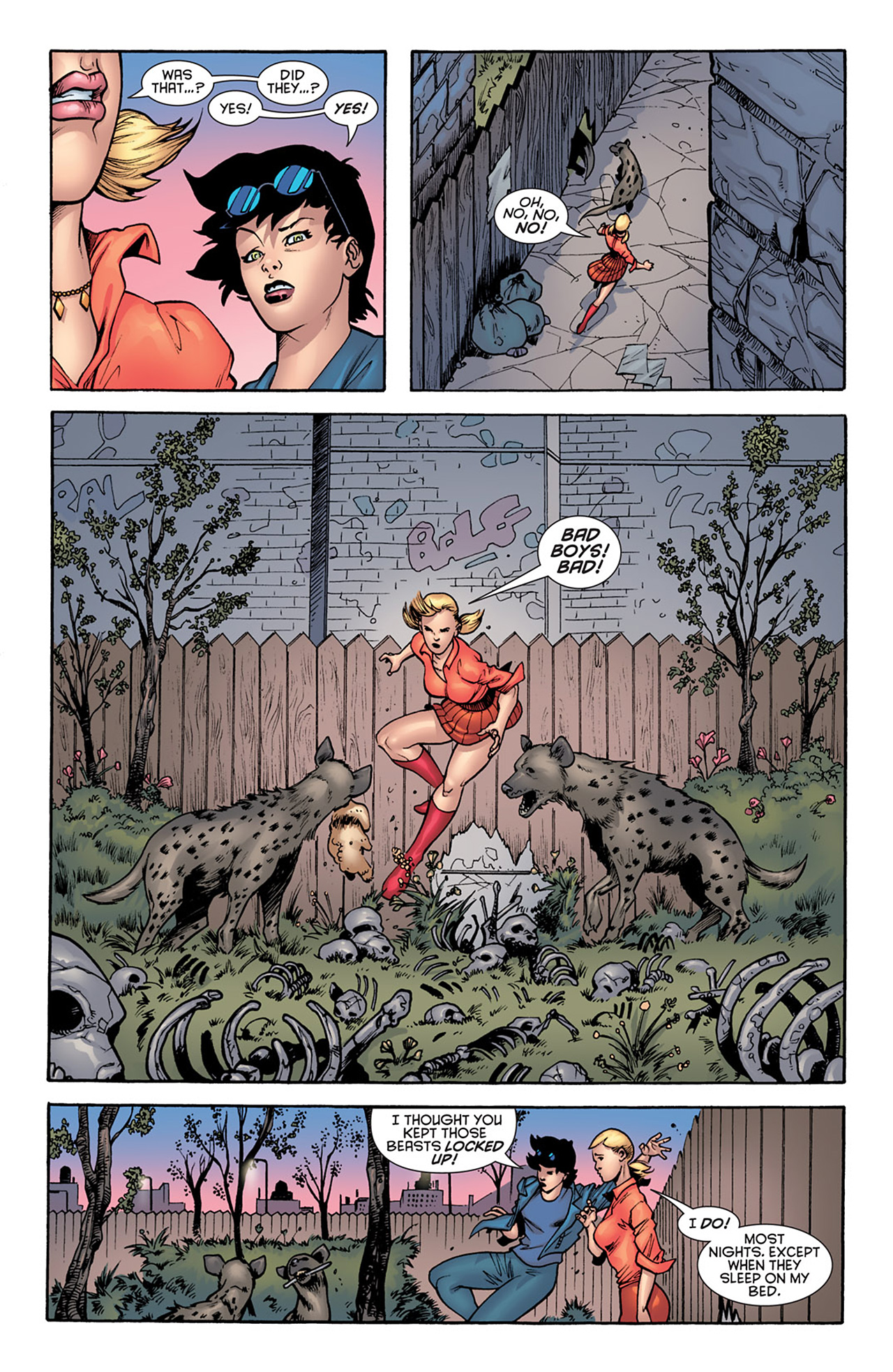 Read online Gotham City Sirens comic -  Issue #11 - 17