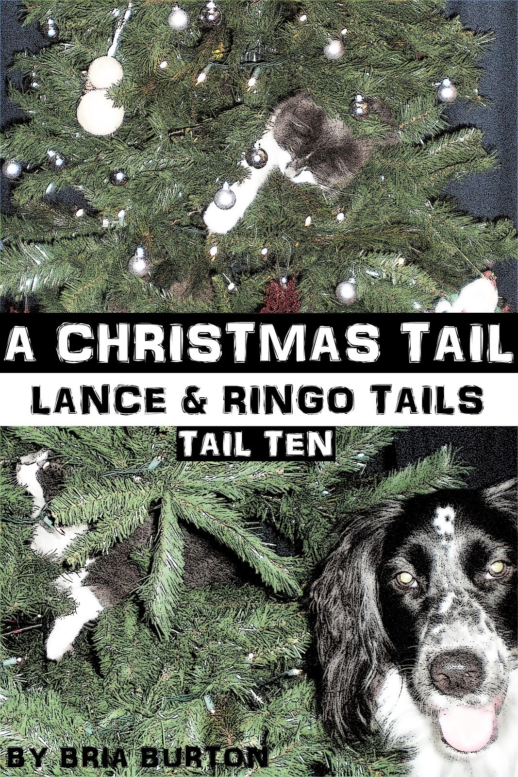 A Christmas Tail