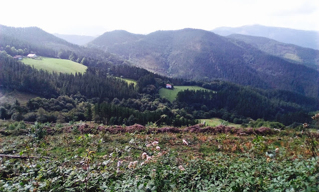 Apertura del bosque en el camino a Markina Xemein