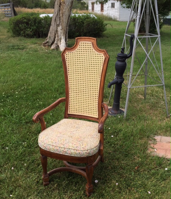 Nip 'n Tuck Upholstery Cane Chair