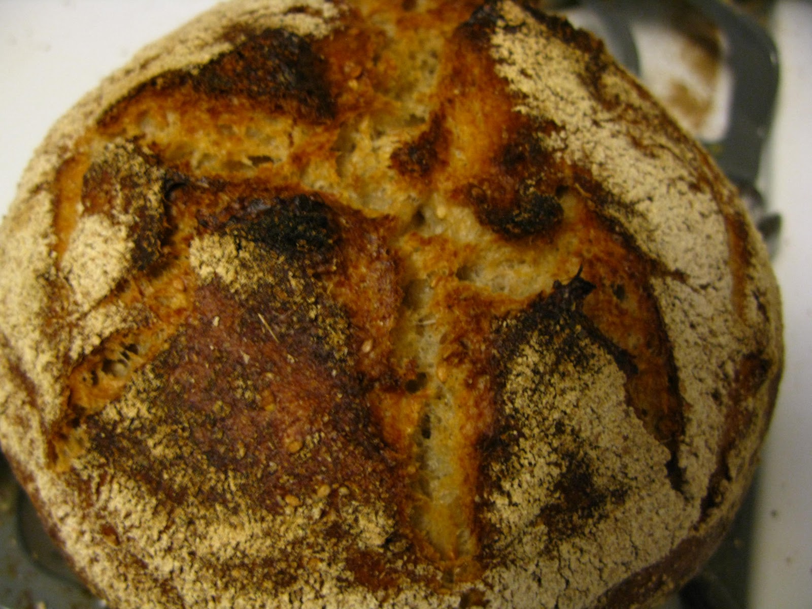 Edible Thymes Pane Integrale Whole Grain Bread