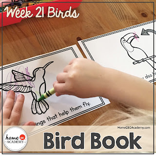 https://www.teacherspayteachers.com/Product/Birds-Preschool-Unit-Printables-for-Preschool-PreK-Homeschool-Preschool-3590816