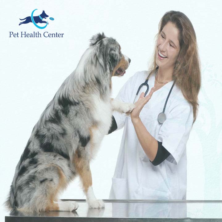 dasuquin-for-dogs-pet-health-center
