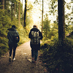 Forest friends friendship grass