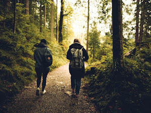 Forest friends friendship grass