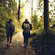 Forest friends friendship grass