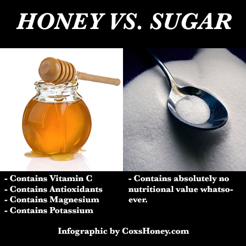 akshay Mechanics and Dynamics of how fishes swim