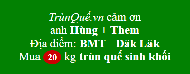 Trùn quế Buôn Ma Thuột