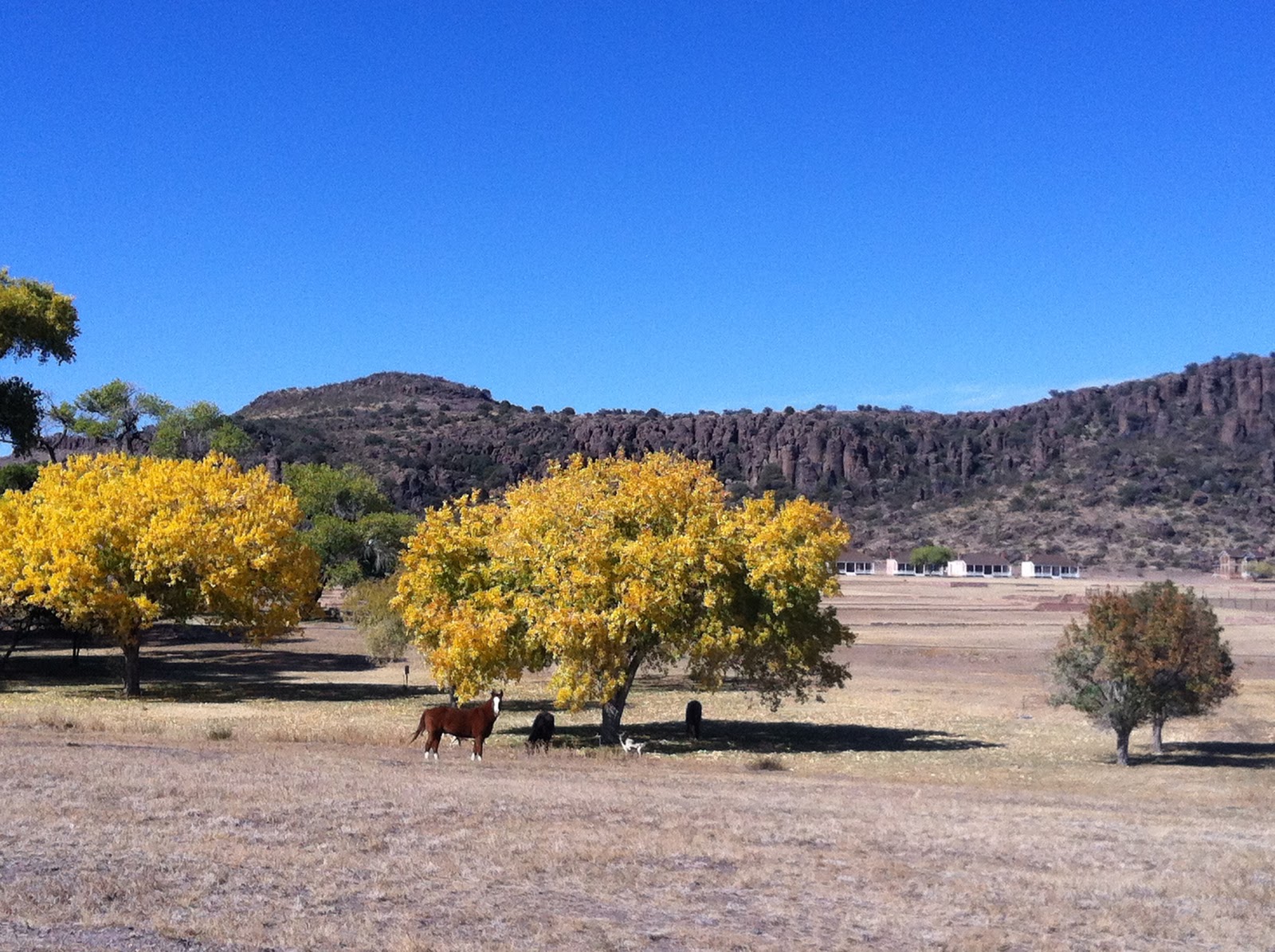Texas Mountain Trail Daily Photo Fall View of Fort Davis National