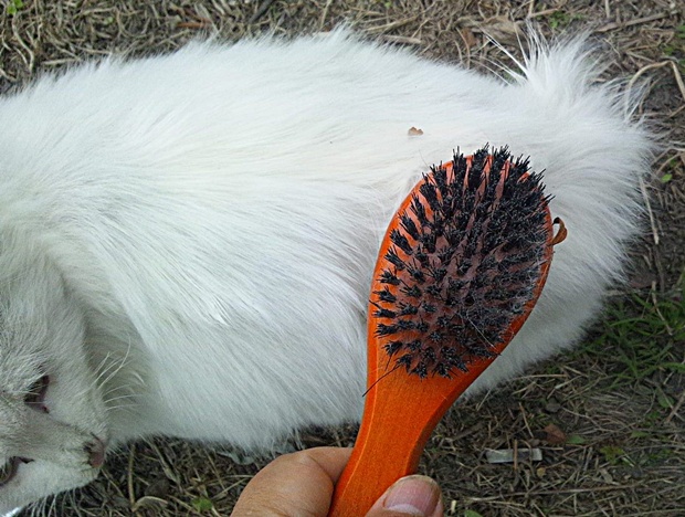 米国のレストラン チェーンがあなたを中つ国の世界へ連れて行きます