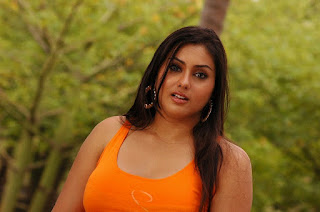 2011 namitha wallpapers_hot_HD_wallpapers