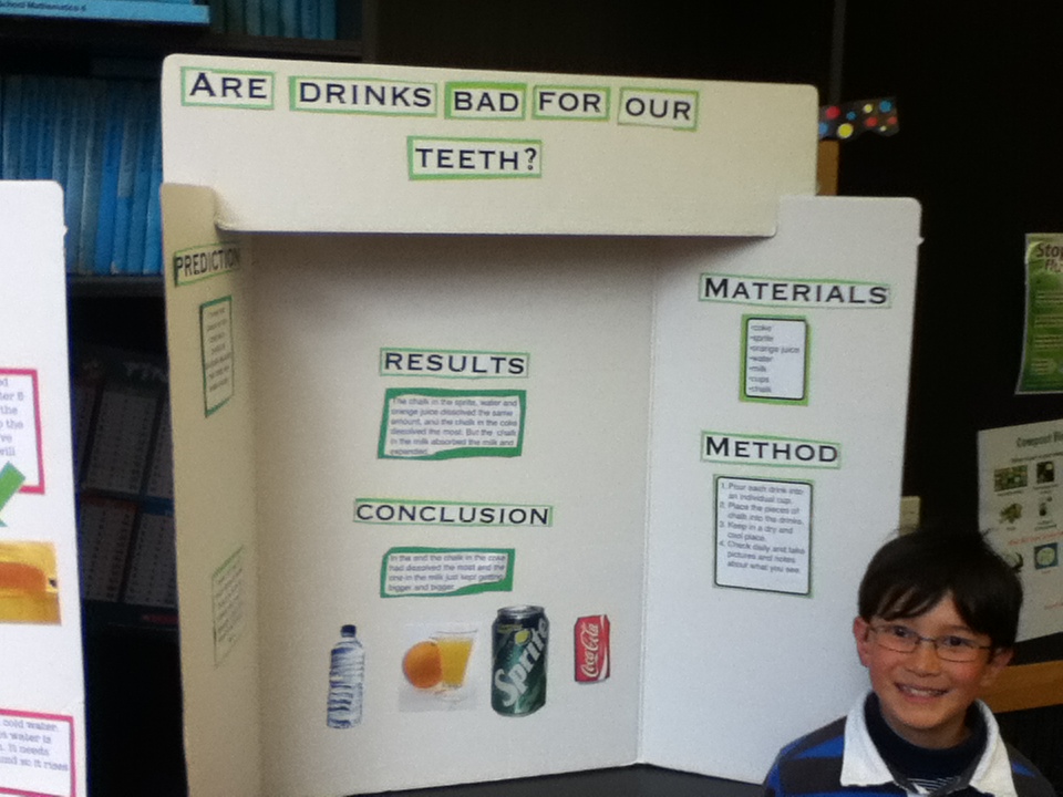 A6's Awesome Blog: Science Fair Projects