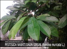 PESTISIDA NABATI dari bahan Daun SIRSAK (Annona muricata, Linn.)