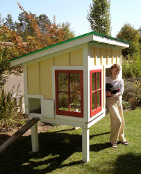 chicken coop coops homemade chickens ventilation plans backyard pen building designs diy houses dreamin country build pretty cool farm coup